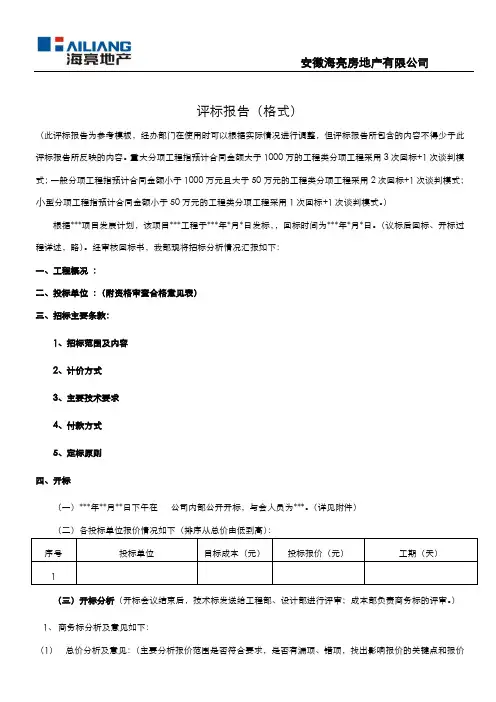 评标报告(模板)