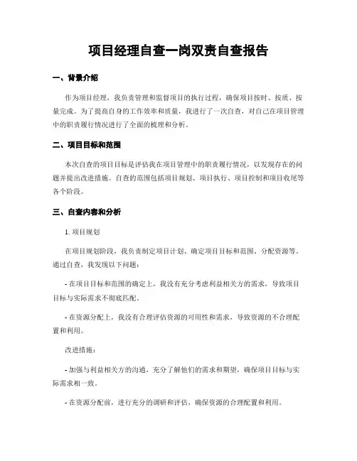项目经理自查一岗双责自查报告