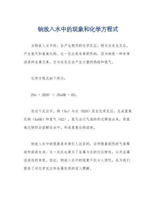 钠放入水中的现象和化学方程式