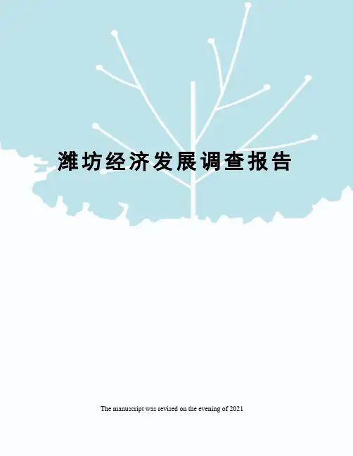 潍坊经济发展调查报告