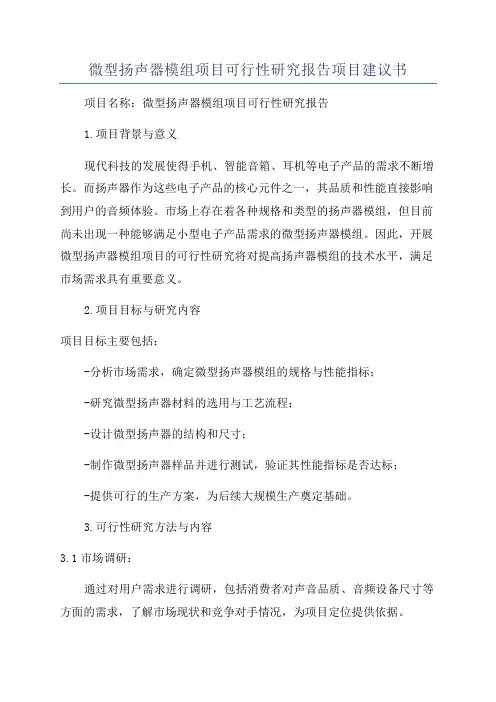 微型扬声器模组项目可行性研究报告项目建议书