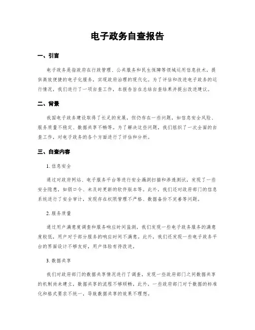 电子政务自查报告