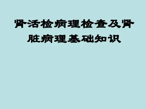 肾活检病理检查及肾脏病理基础知识