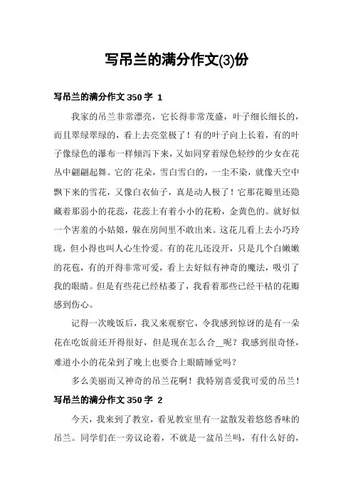 写吊兰的满分作文份