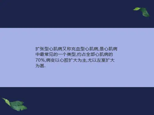 心脏疾病的超声诊断