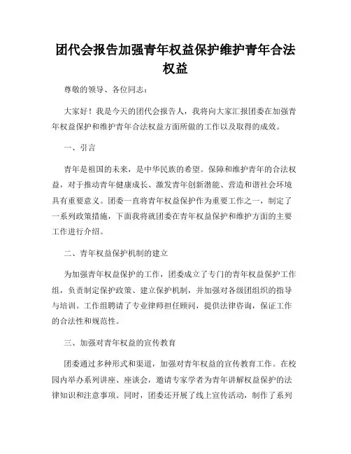 团代会报告加强青年权益保护维护青年合法权益