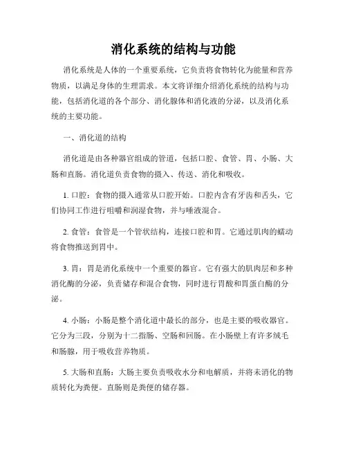 消化系统的结构与功能