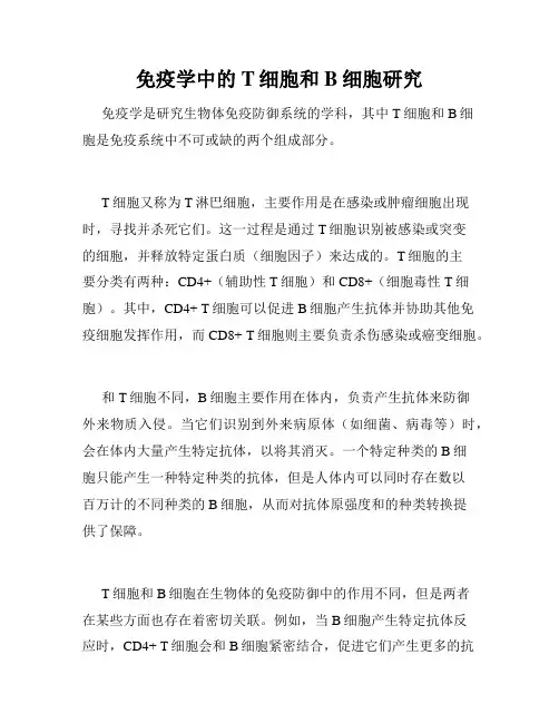 免疫学中的T细胞和B细胞研究
