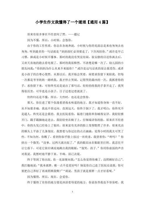 精选小学生作文我懂得了一个道理【通用4篇】
