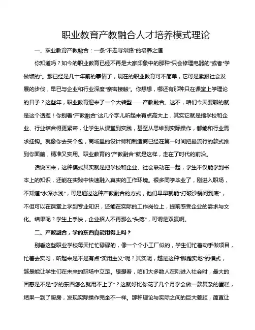 职业教育产教融合人才培养模式理论