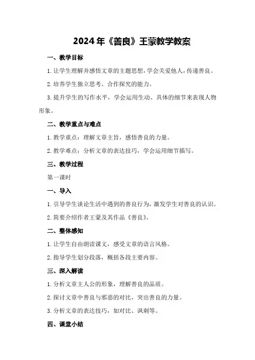 2024年《善良》王蒙教学教案
