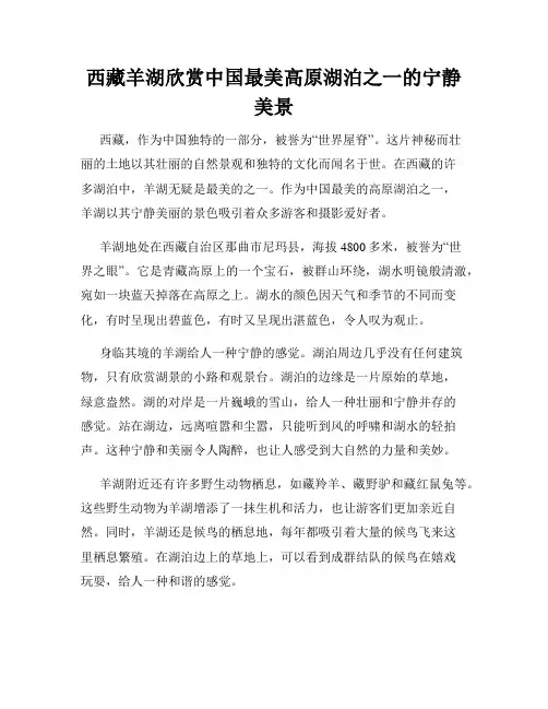 西藏羊湖欣赏中国最美高原湖泊之一的宁静美景