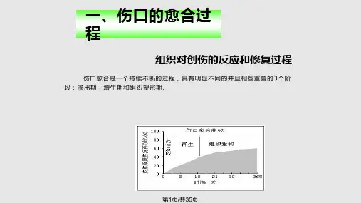 伤口换药技术PPT课件