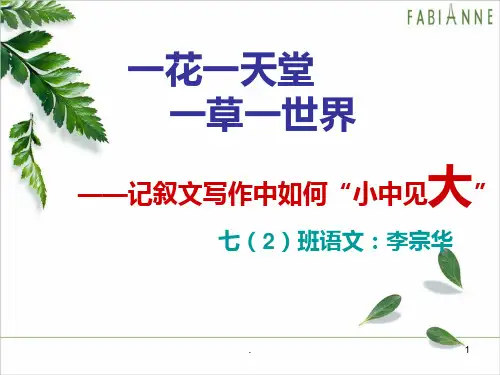 作文中如何以小见大PPT课件
