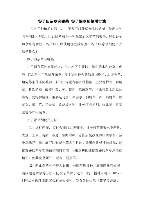 谷子田杂草有哪些 谷子除草剂使用方法