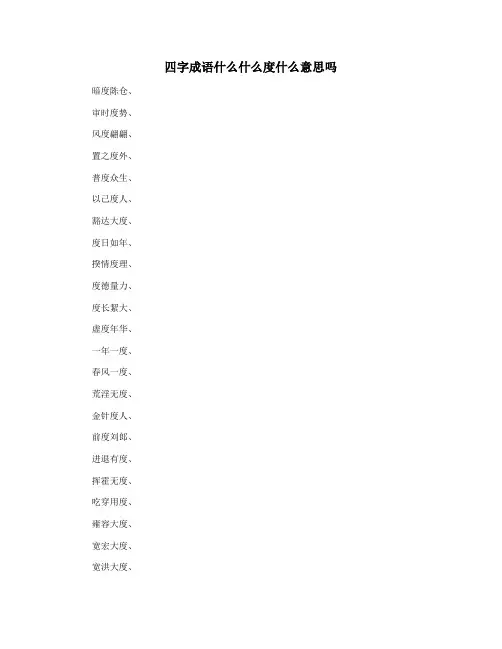 四字成语什么什么度什么意思吗