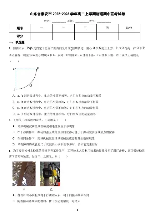 山东省泰安市2022-2023学年高二上学期物理期中联考试卷(含答案)