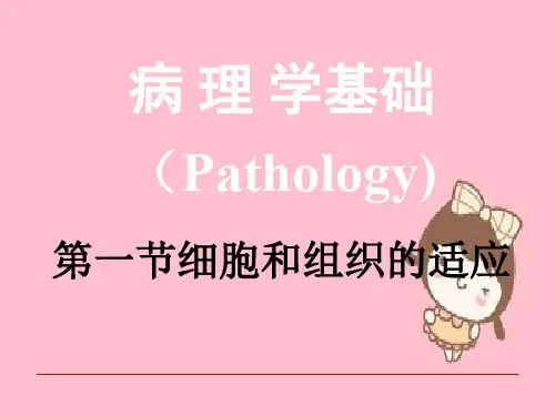 病理学基础(Pathology) 第一节细胞和组织的适应
