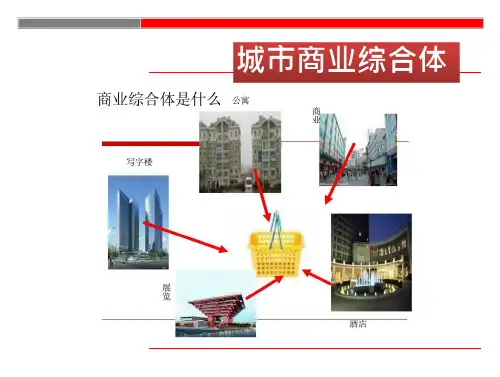 城市综合体调研 报告