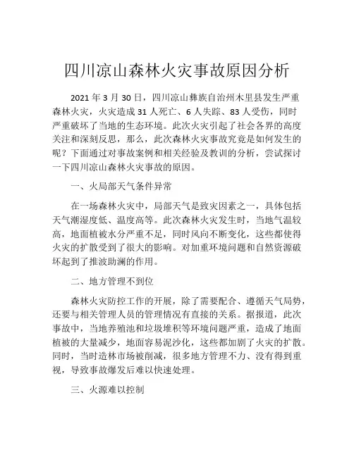 四川凉山森林火灾事故原因分析
