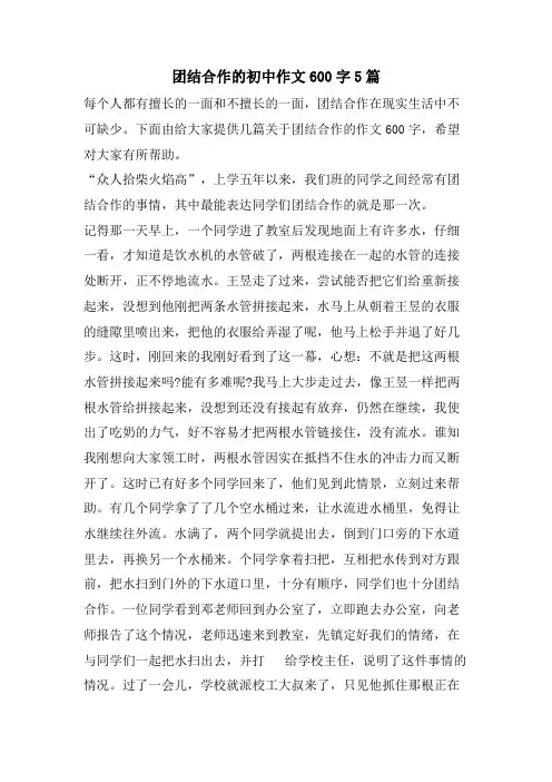 团结合作的初中作文600字5篇