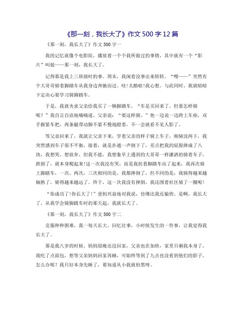 《那一刻,我长大了》作文500字12篇