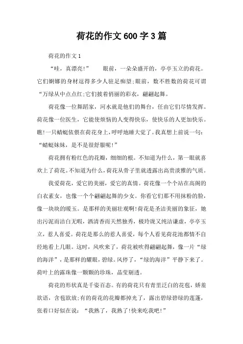 荷花的作文600字3篇