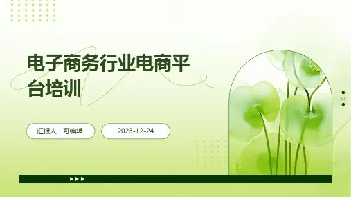 电子商务行业电商平台培训ppt