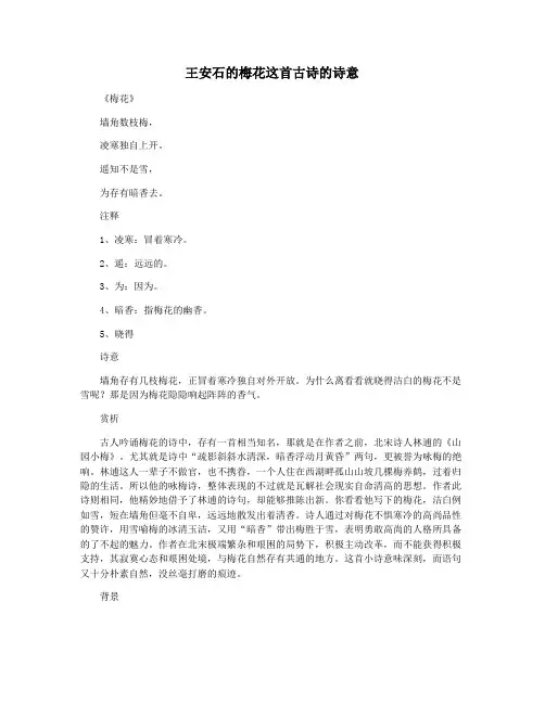 王安石的梅花这首古诗的诗意