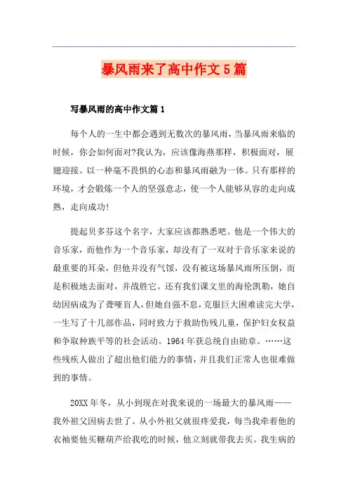 暴风雨来了高中作文5篇