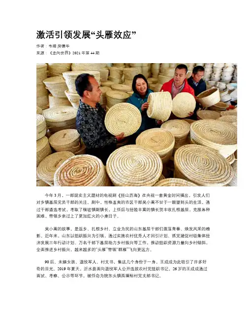 激活引领发展“头雁效应”