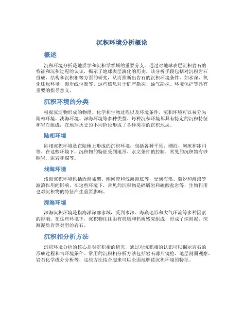 沉积环境分析概论
