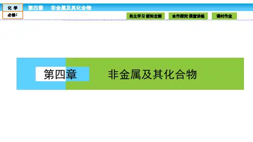 教学：高中化学(人教版)必修1课件：第四章 非金属及其化合物 4.1
