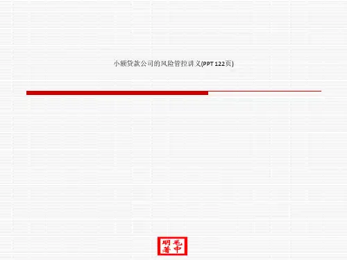 小额贷款公司的风险管控讲义(PPT 122页)_12214