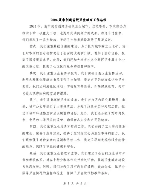 2024某市创建省级卫生城市工作总结