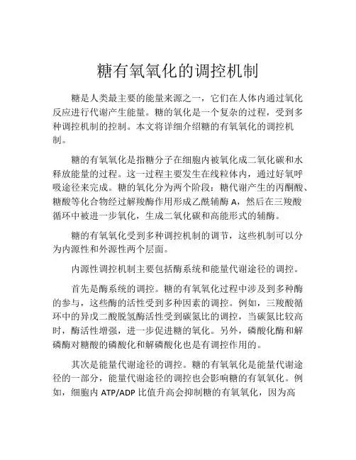 糖有氧氧化的调控机制