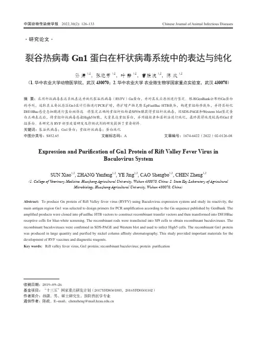裂谷热病毒Gn1蛋白在杆状病毒系统中的表达与纯化
