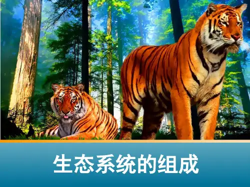 伴随食物链发生的生物富集现象