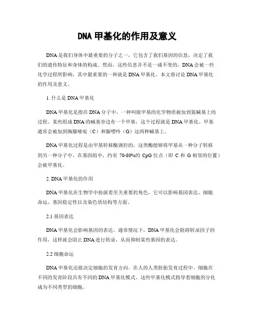 DNA甲基化的作用及意义