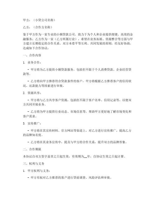 小贷公司商务合作协议模板