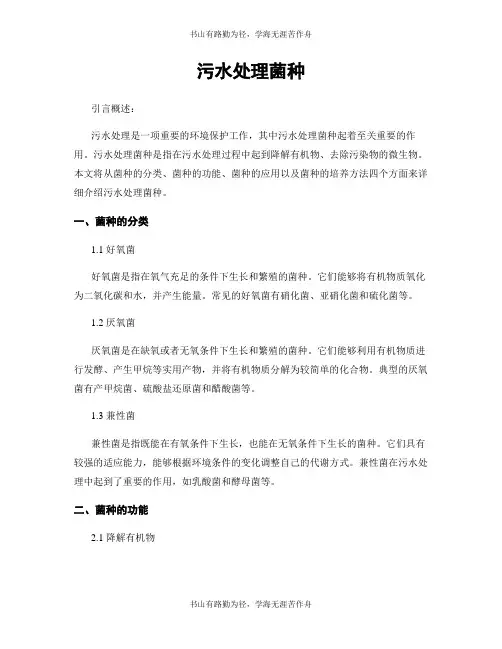 污水处理菌种