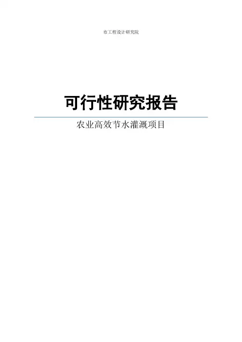 农业高效节水灌溉项目可行性研究报告