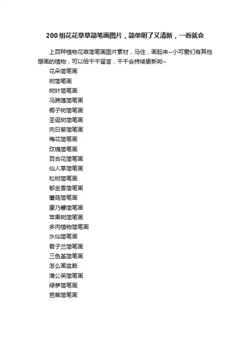 200组花花草草简笔画图片，简单明了又清新，一看就会