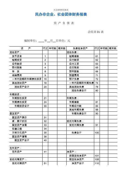 社会团体财务报表