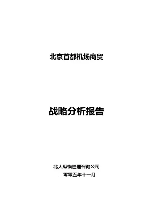 某公司战略分析报告(DOC 94页)