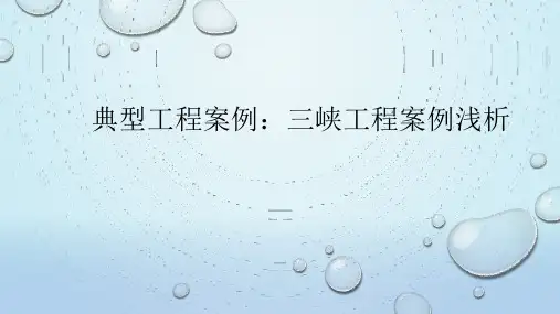 工程伦理典型工程案例：三峡工程案例浅析