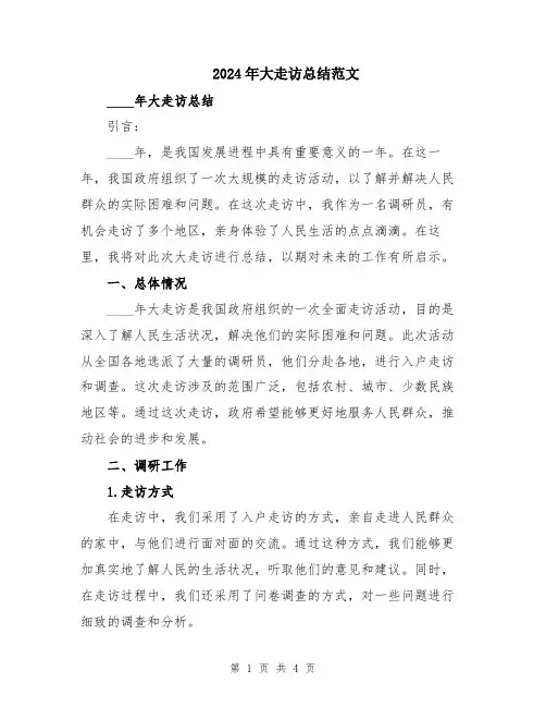 2024年大走访总结范文