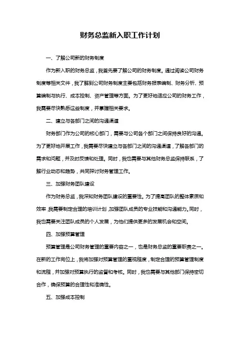 财务总监新入职工作计划