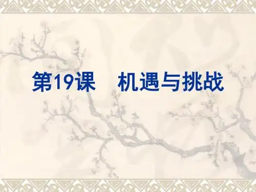 第19课  机遇与挑战