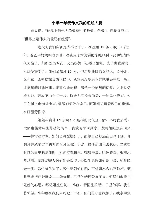 小学一年级作文我的姐姐5篇